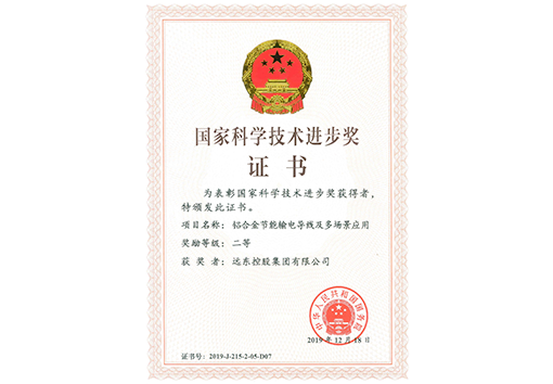 國家科學(xué)技術(shù)進(jìn)步獎二等獎