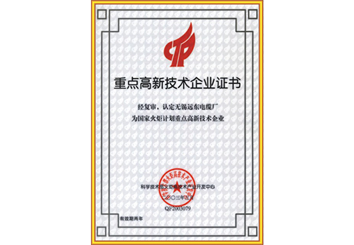 重點(diǎn)高新技術(shù)企業(yè)證書